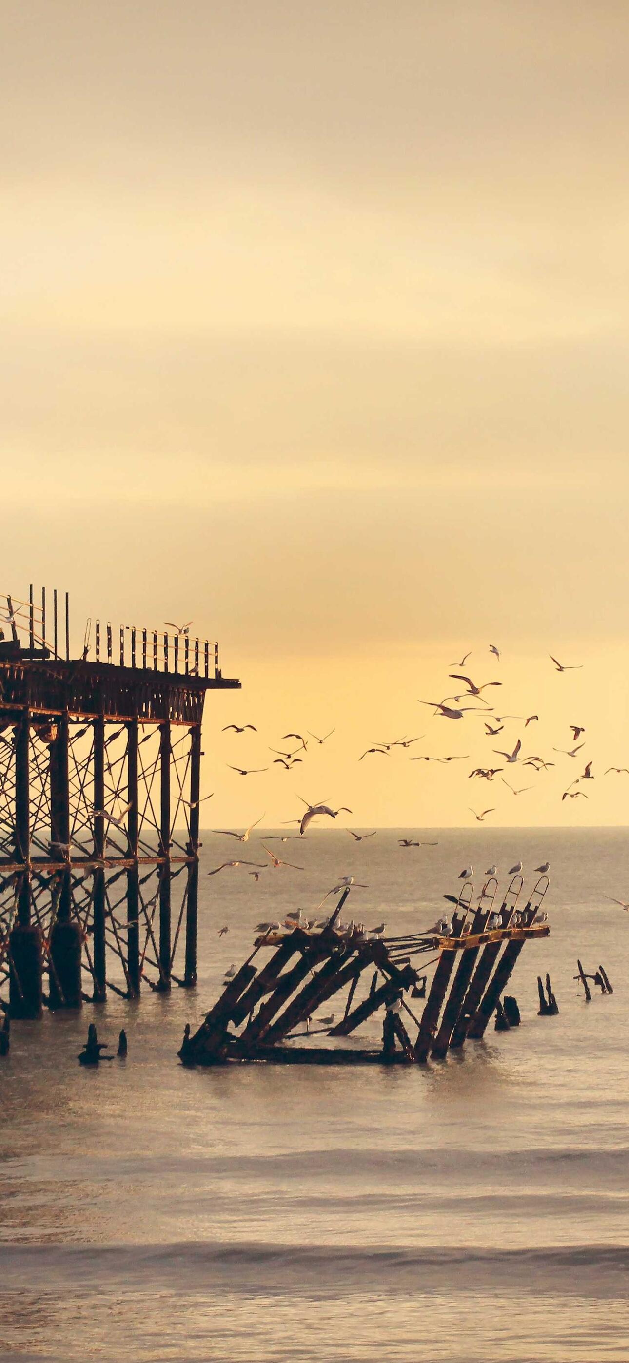 Bamboo Forest iPhone 17 Wallpaper