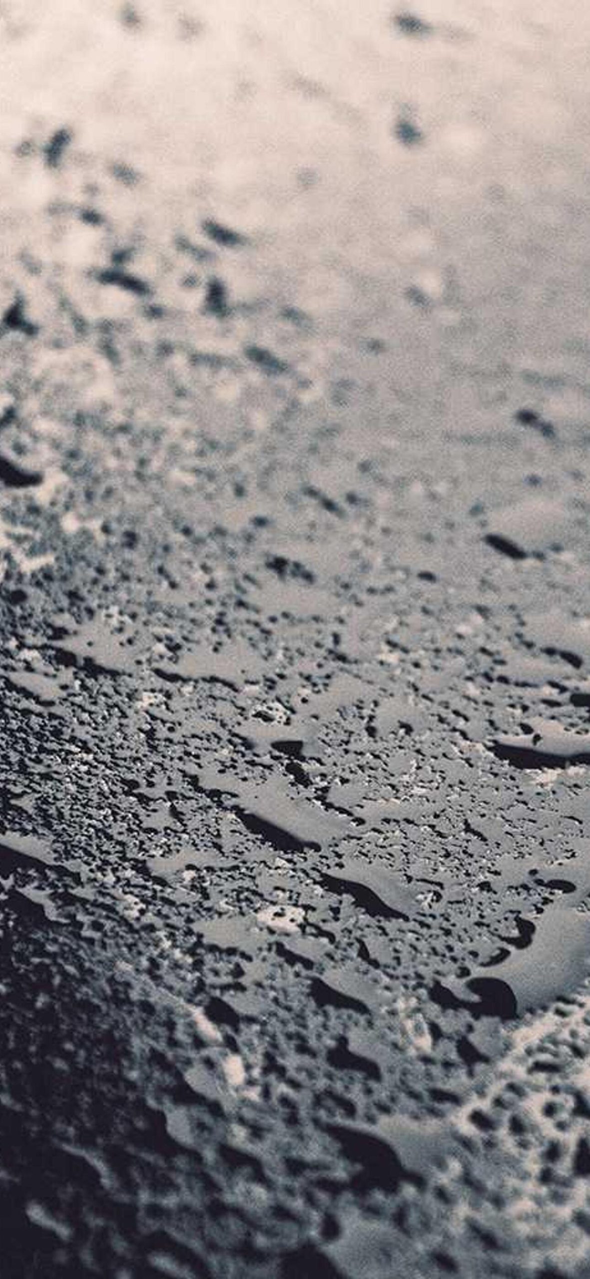 Ethereal Bamboo Forest iPhone 17 Wallpaper